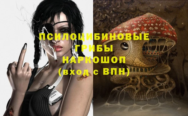 дживик Аркадак