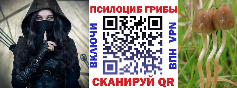 Псилоцибиновые грибы Magic Shrooms Голицыно