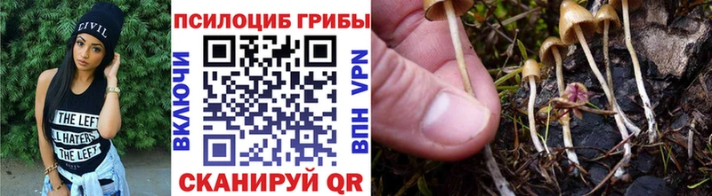 Галлюциногенные грибы GOLDEN TEACHER  ОМГ ОМГ рабочий сайт  Голицыно  хочу  